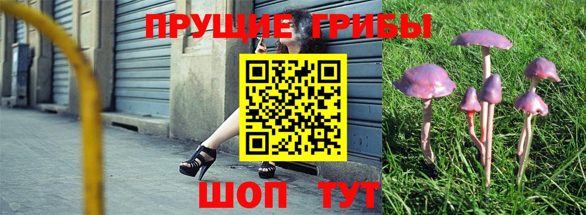 Псилоцибиновые грибы прущие грибы  Псилоцибиновые грибы GOLDEN TEACHER  Калуга  Вход с VPN 