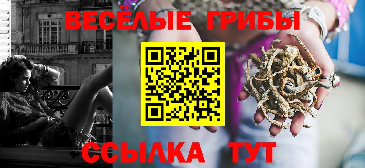 Галлюциногенные грибы Magic Shrooms Калуга